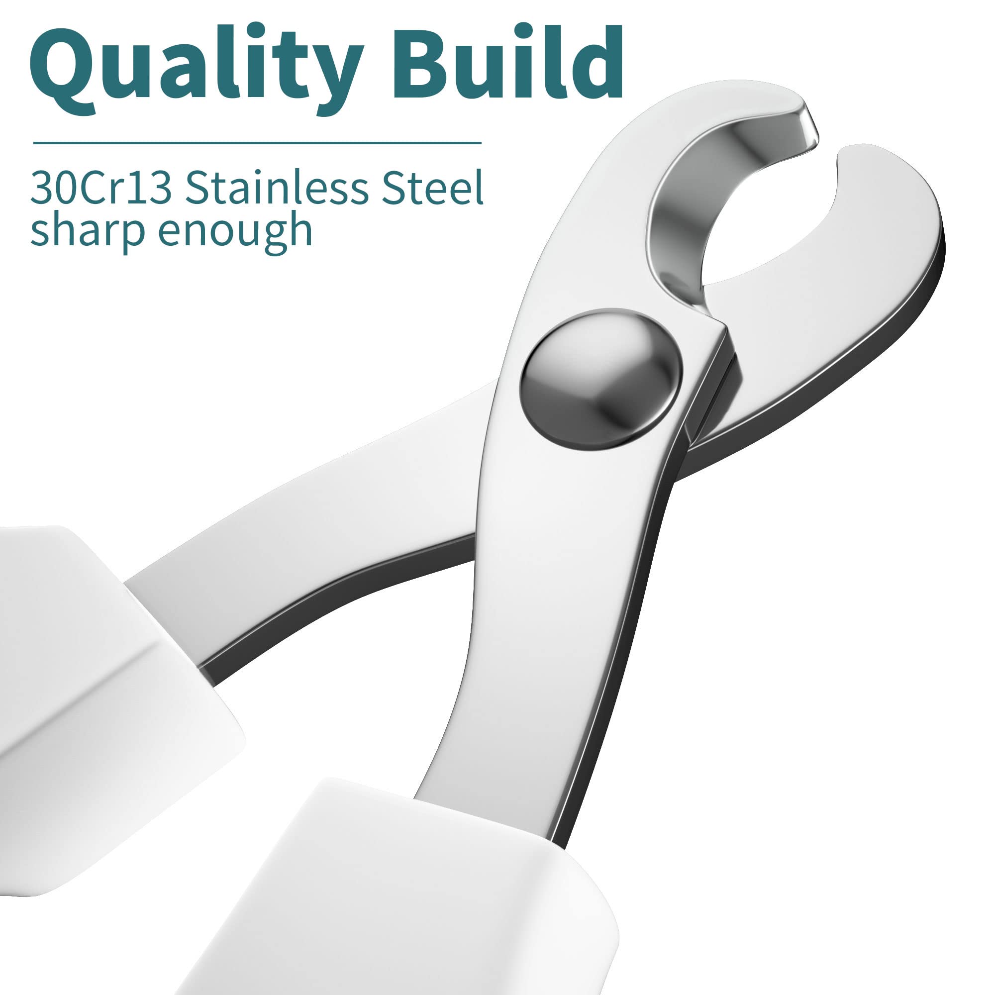 Cat Nail Clipper, Claw Trimmer Made Of Stainless Steel, Clean Cut, No Shred, Mirror Finish. Small Animal Nail Clippers For Cats, Kittens, Bunny, Puppy, Rabbit, Gatos, And More