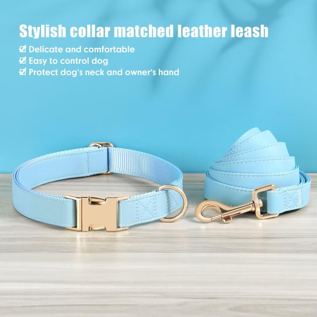 Pet Artist Soft Leather Dog Collar And Leash Set, Bright & Stylish 5Ft Leather Leash And Collar Set, Heavy Duty Dog Collars With
