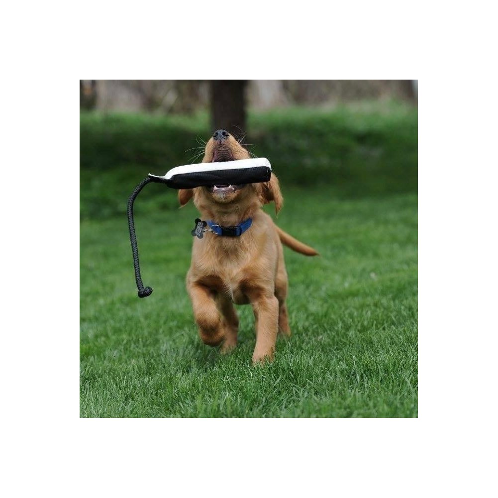 Avery ASD HexaBumper - Sporting Dog Floating Training Dummy with Hex Design & Throw Rope (Orange, 2'' Diameter Single Pack)