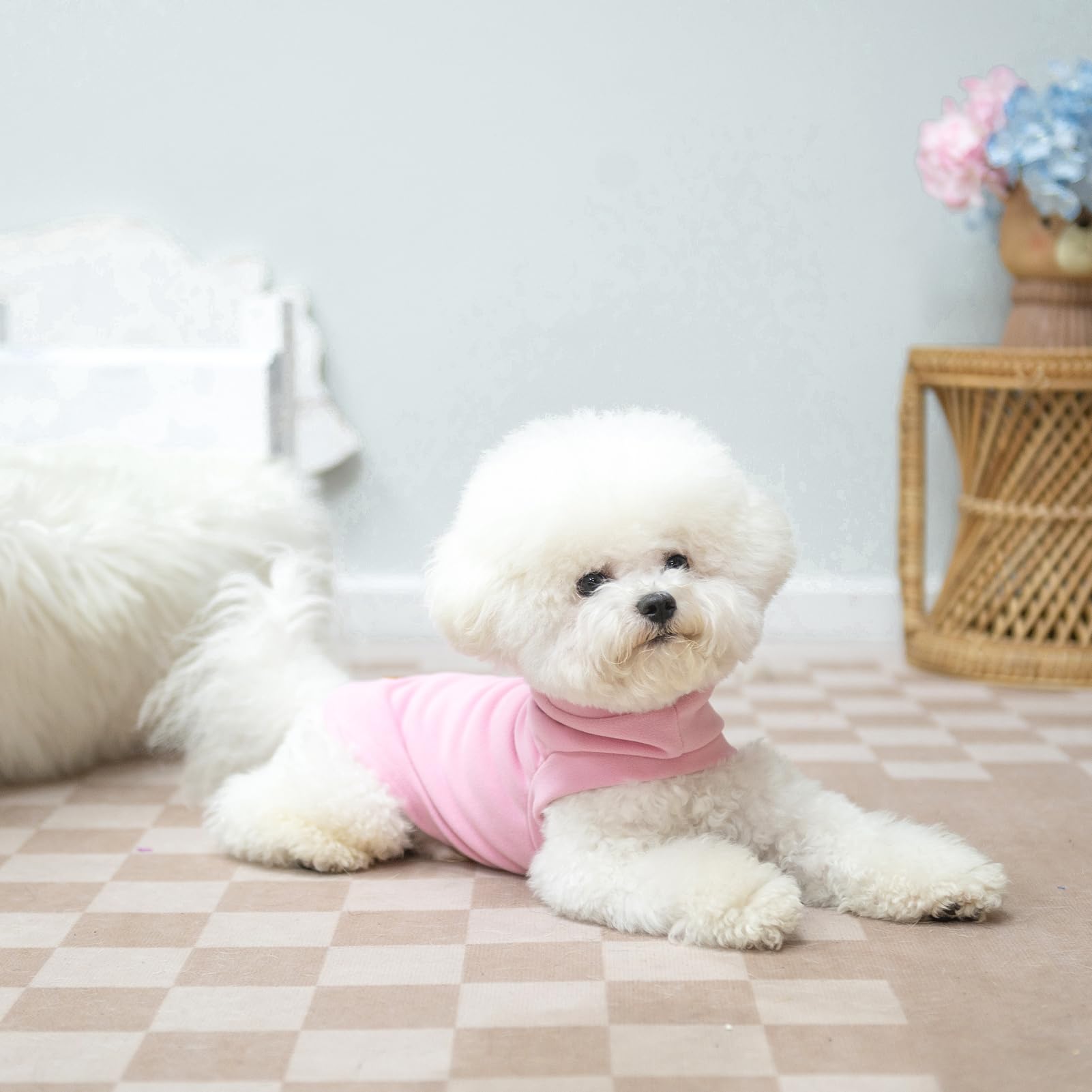 Expawlorer Soft Cat Sweater - Warm Clothes For Cats And Small Dogs, Fall And Winter Coat Pullover Design, Fleeced Sweatshirt, Pi