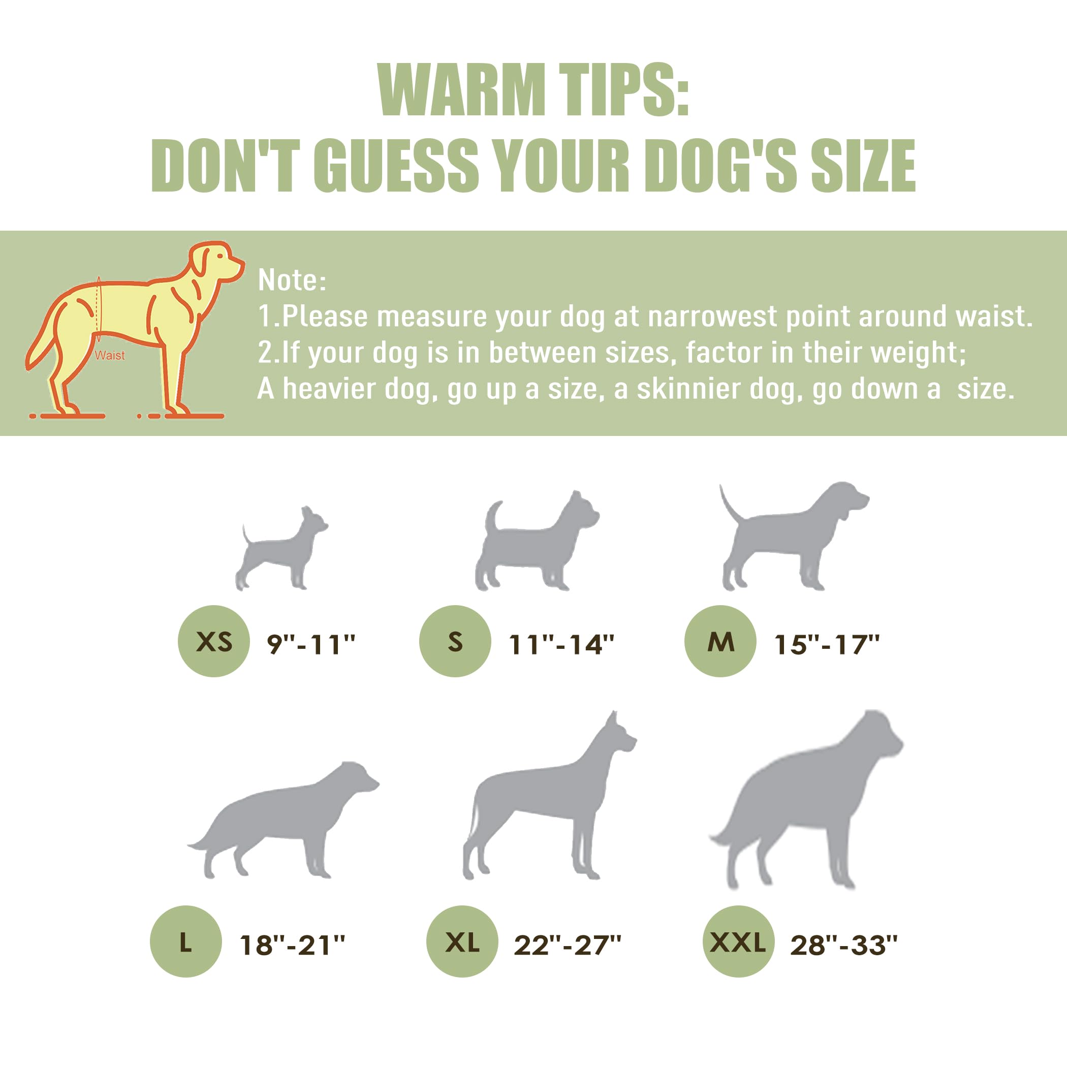 Wegreeco Washable Male Dog Diapers (Pack of 3) - Washable Male Dog Belly Wrap (X-Small - 9 - 10.5  Waist)