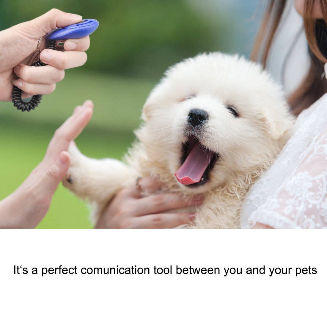 Diyife Clicker Training for Dogs, [4 Pcs, Multi-Color] Dog Clicker for Training, Clicker Dog Training with Wrist Strap, Clicker