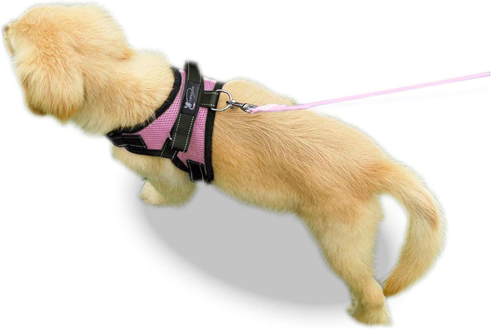 Copatchy No Pull Reflective Adjustable Dog Harness With Handle- Comfortable Soft All Weather Mesh, Easy On Puppy Harness For Small Medium And Large Dogs (Pink) X-Small
