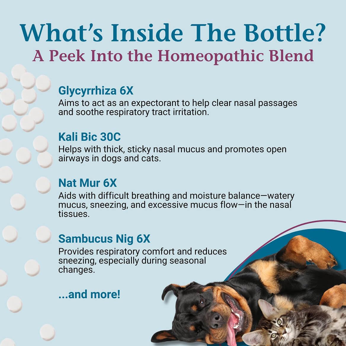 PetAlive Sinu-Rite Cat and Dog Nasal Congestion Relief - Homeopathic Tablets - Supports Temporary Relief from Sinus Congestion,