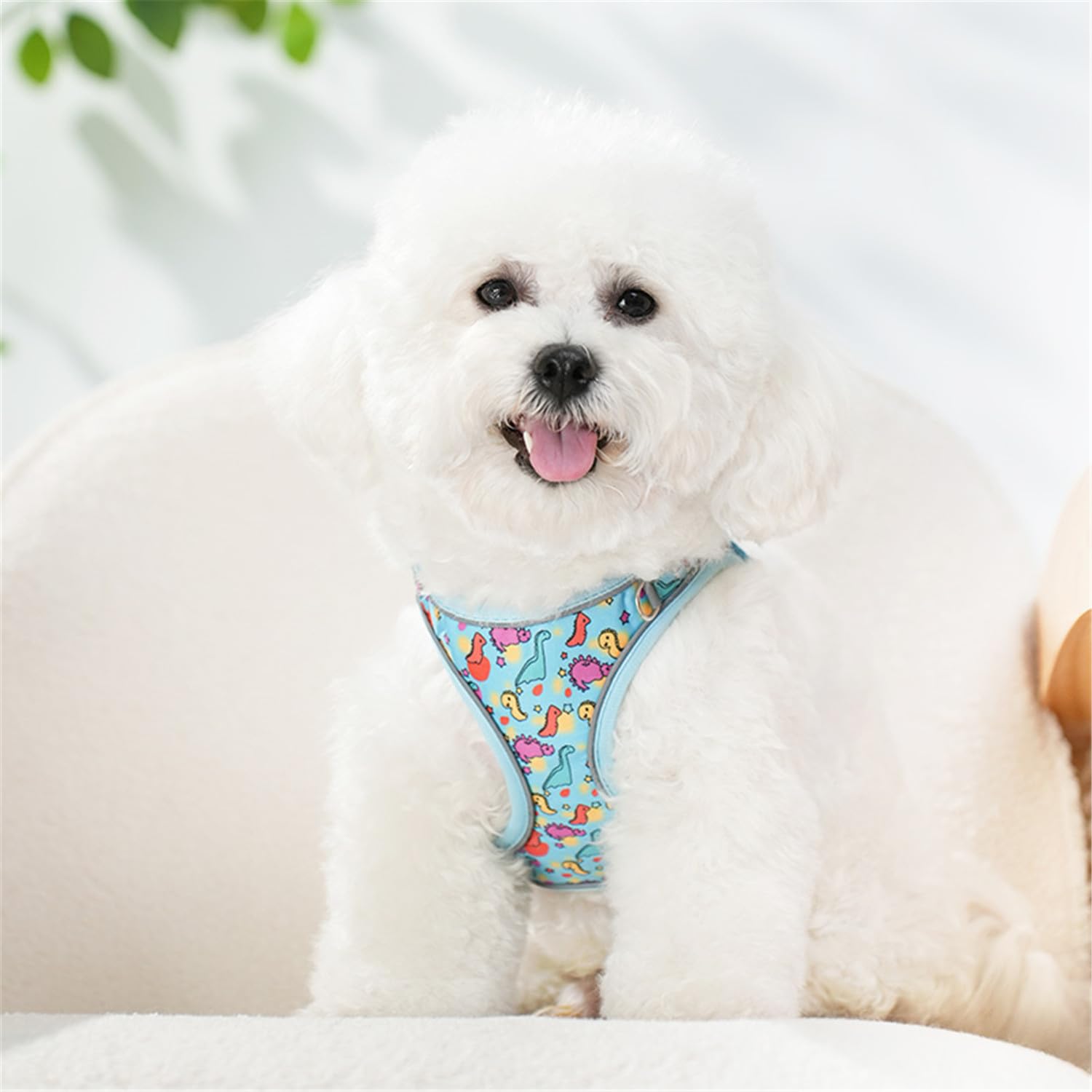 KocaPlye Step in Dog Harness No Pull Dinosaur Adjustable Soft Mesh Padded Reflective Pet Vest Harness and Leash Set for Small Me