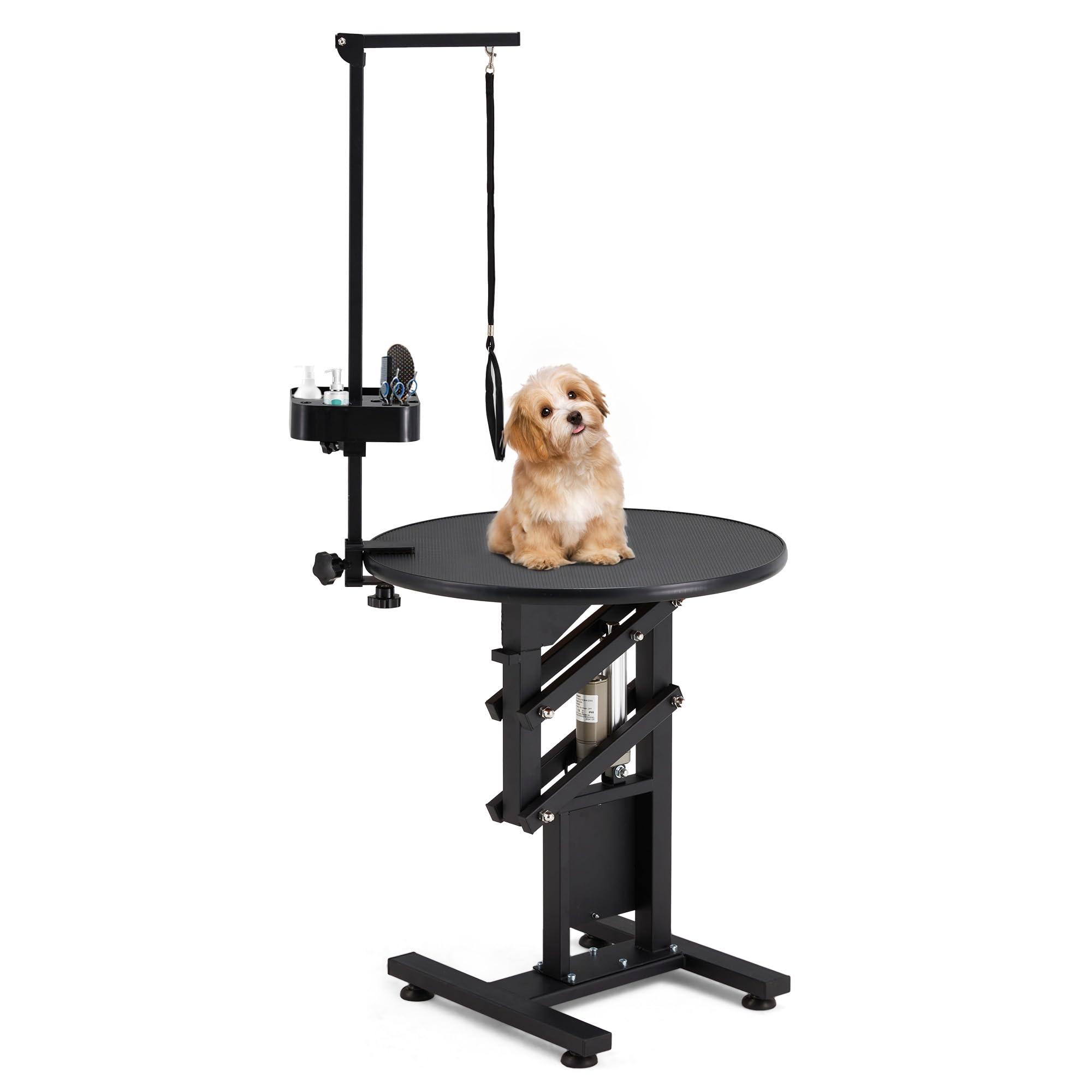 JFHID Professional Electric Lift Dog Grooming Table, Portable Height Adjustable Pet Grooming Station with Foldable Arm, Tool Org