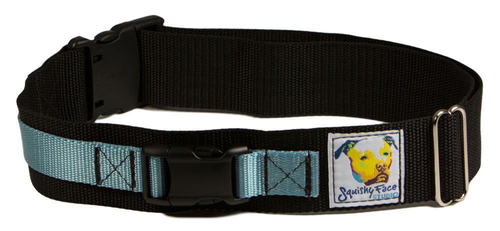 Squishy Face Studio Hands Free Dog Leash Belt - Small-Medium - Ocean Blue