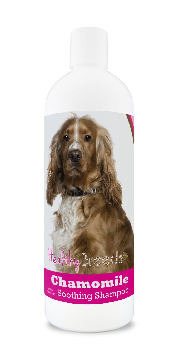 Healthy Breeds English Cocker Spaniel Chamomile Soothing Dog Shampoo 8 oz