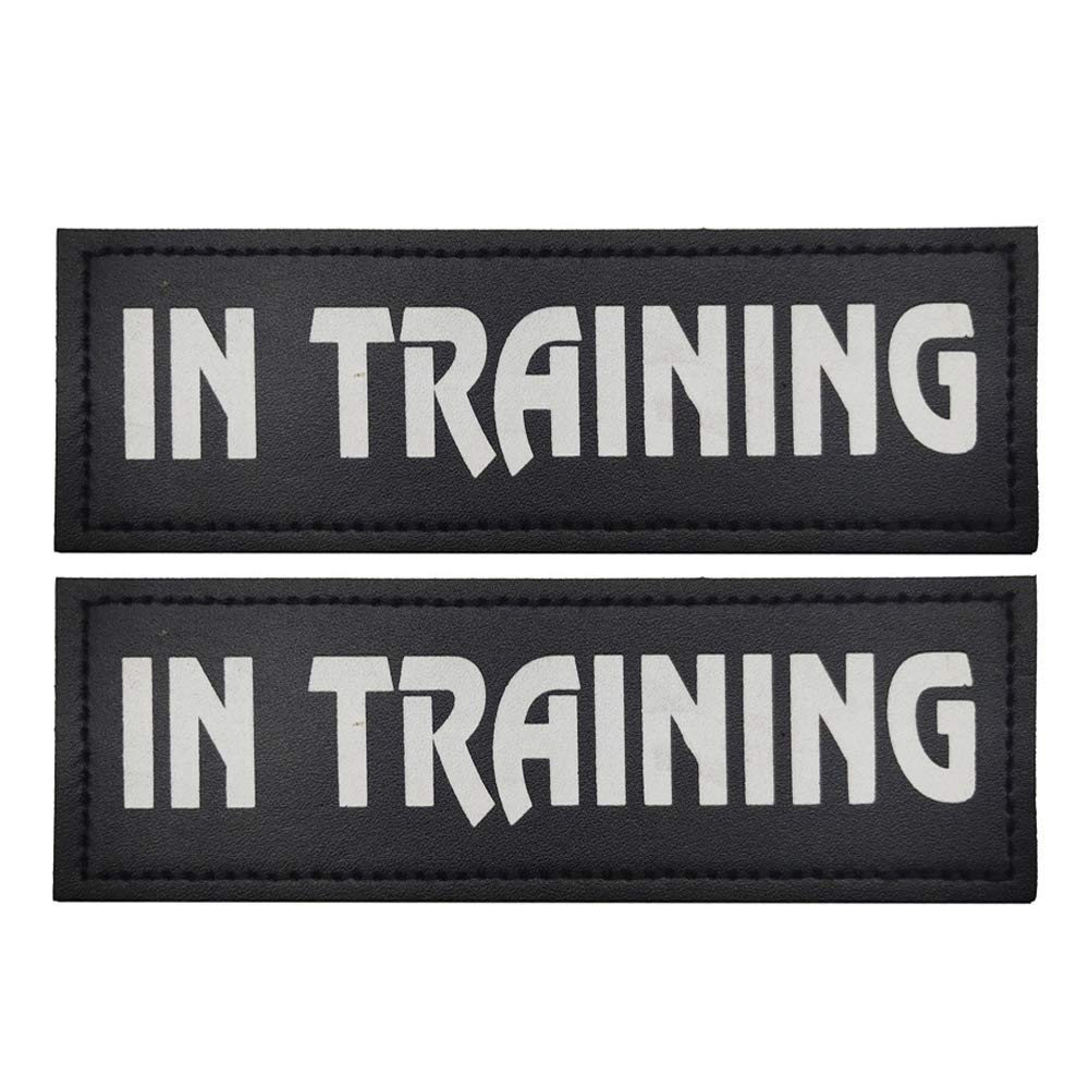 Creator 2 Pack Dog Patches With Hook Backing 2 X 6 Inch -Service Dog, Service Dog In Training, In Training For Harnesses, Collars, Leashes