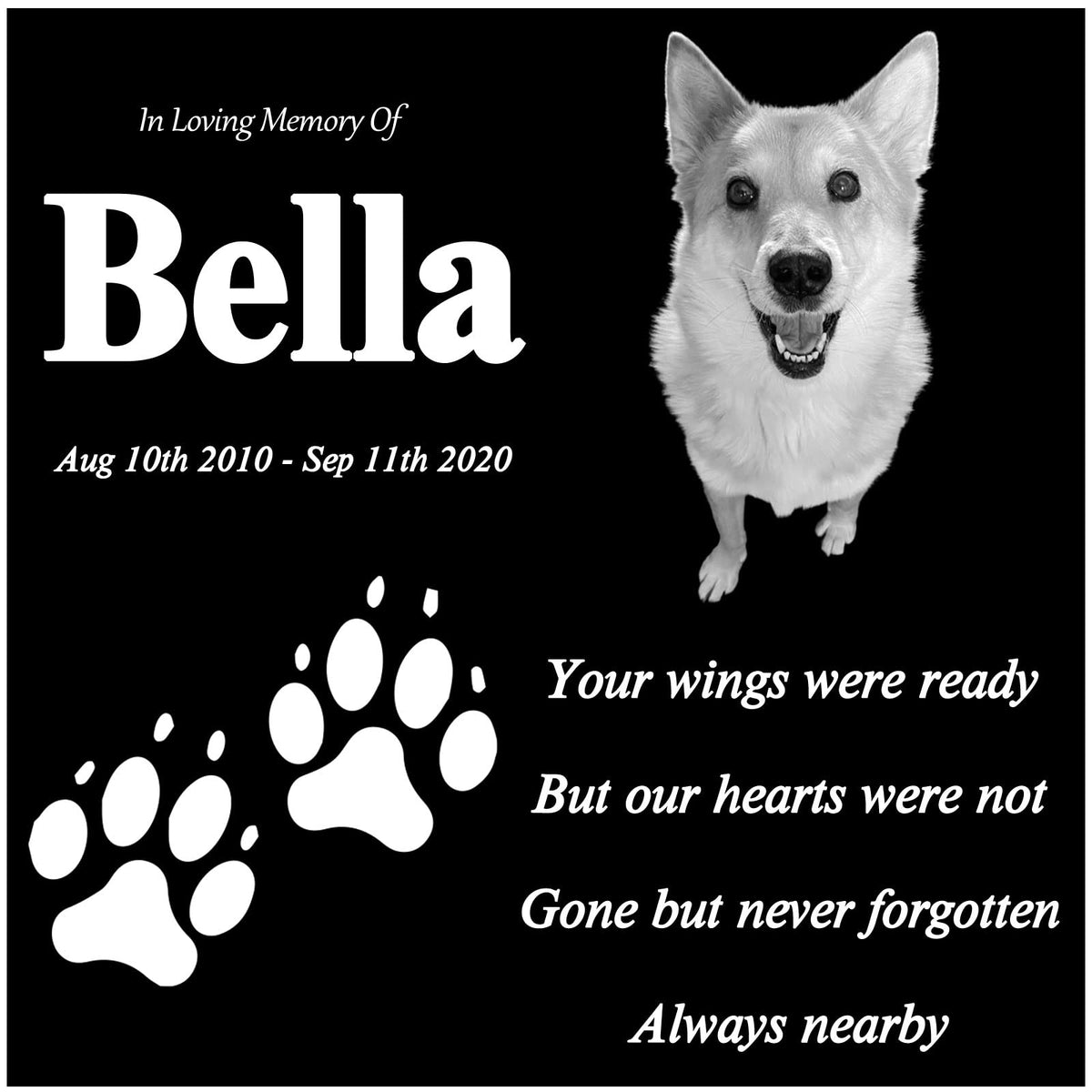 Odb 6X6 Inches & 12X12 Inches Personalized Pet Memorial Stones, Black Granite Memorial Garden Stone Engraved With Photo, Gifts F