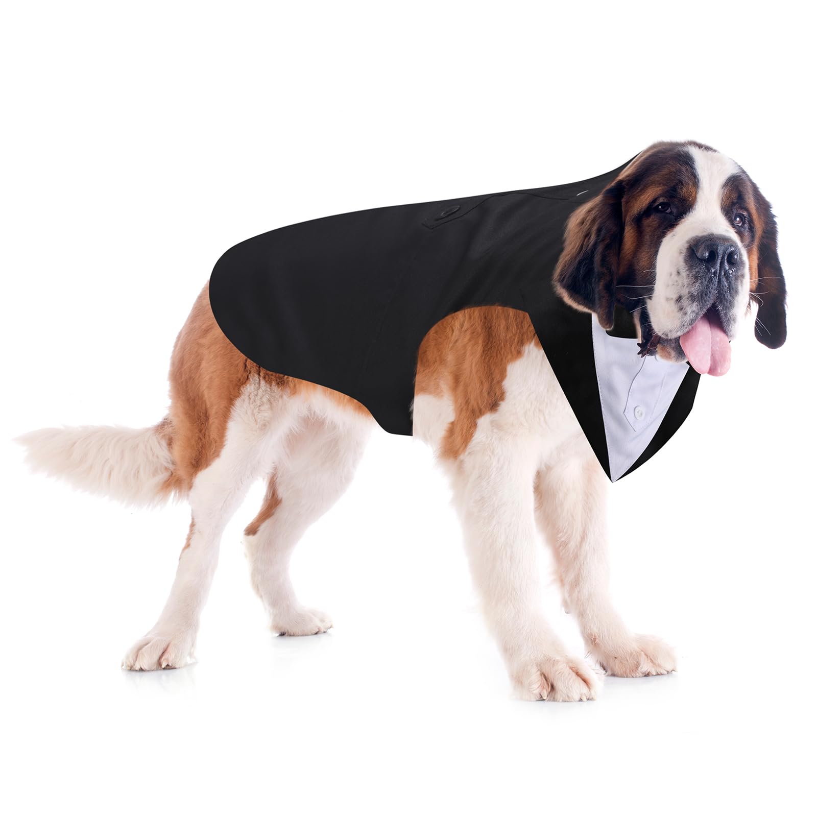 Weewooday Dog Tuxedo and Bandana Set, Formal Suit for Pets, XXL, Stripe Style, Model Weewooday-34109