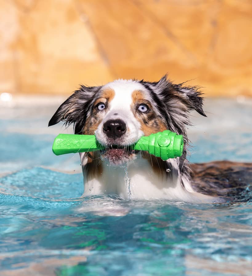 Project Hive ·Pet Company· - Tropical Coconut Scented - Hive Dog Fetch Stick For Large Breeds - Dog Stick Toy - Floats In Water - Treat Dispenser Toy - Durable And Tough - Made In The Usa