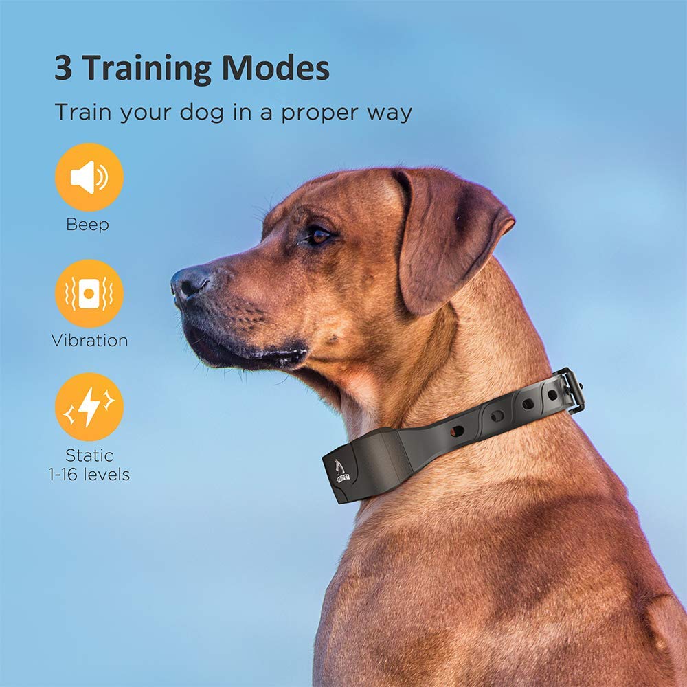 Patpet Dog Training Collar For Large Dogs - Ipx7 Waterproof E Collar For Dogs Training With Beep, Vibration And Static Modes