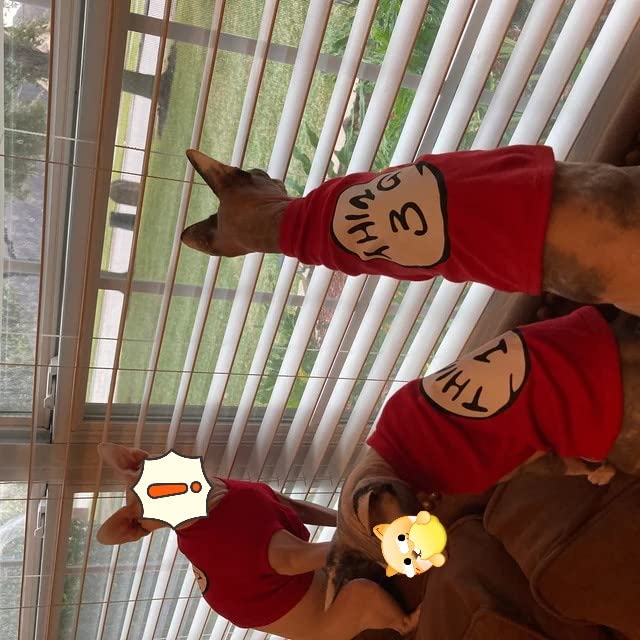 Sueosu Dog Shirts For Pet Clothes Soft Breathable Puppy Shirts Pop Culture Thing 1 To Thing 9 Printed Pet T-Shirt (Red-1, Small)