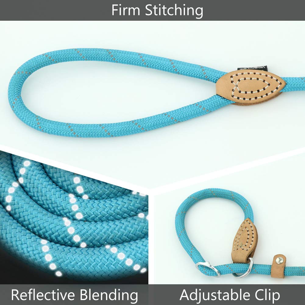 Grand Line Slip Lead Dog Leash, 5Ft Reflective Slip Rope, Puppy Training Walking Controlling Lead, Slip Collar Pet Leash For Small, Medium, Large Dogs (Blue, Large-3/5In X 5Ft)