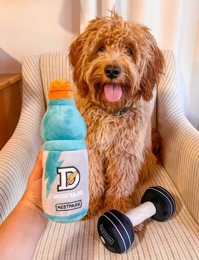 Nestpark Fitness Funny Dog Toys - Doggyade And Doggy Dumbbell Workout Parody Cute Dog Toys - 2 Pack (Workout Pack)