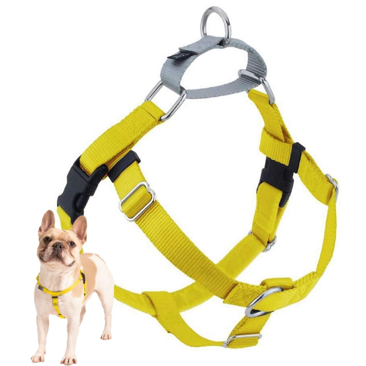2 Hounds Design Freedom No Pull Dog Harness, Adjustable Harness, Easy Walking & Comfortable Control, Fits Small, Medium & Large Dogs, Solid Colors, Made In Usa, 1' Lg, Yellow