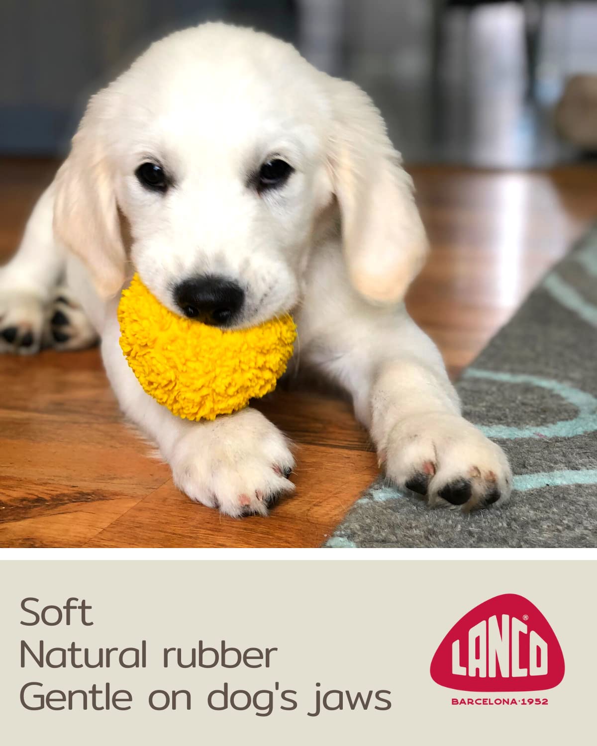Set Of 2 Squeaky Rubber Balls For Puppies - 3' - Sensory Dog Toys - Soft Natural Rubber (Latex) - Puppies Small Breeds - Comply With Same Safety Standards As Baby Toys