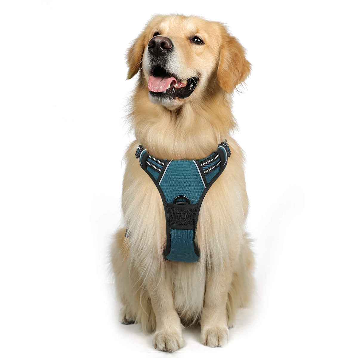 Rabbitgoo Dog Harness, No-Pull Pet Harness With 2 Leash Clips, Adjustable Soft Padded Dog Vest, Reflective No-Choke Pet Oxford Vest With Easy Control Handle For Large Dogs, Blue Coral, Xl