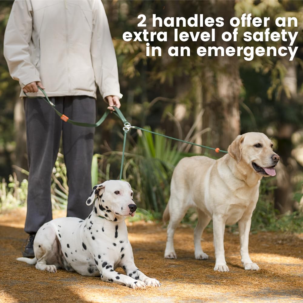 Howgo Double Slip Leash Slip Lead With Two Handles| Dual Dog Slip Lead For 2 Dogs,360 Swivel No Tangle | Dog Training Collar | D