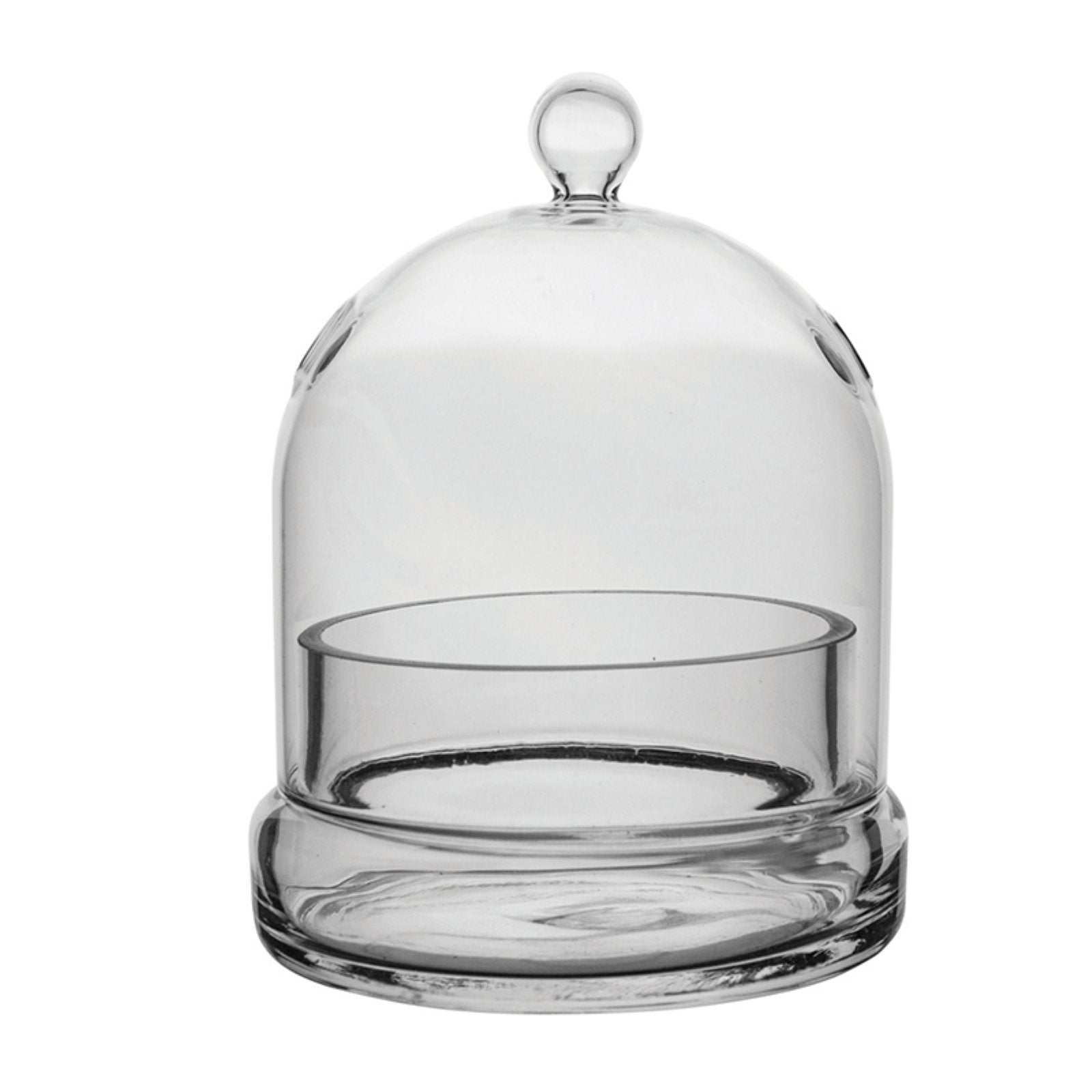 Syndicate Sales Inc 3776-04-09 7 X 8 Terrarium Cloche