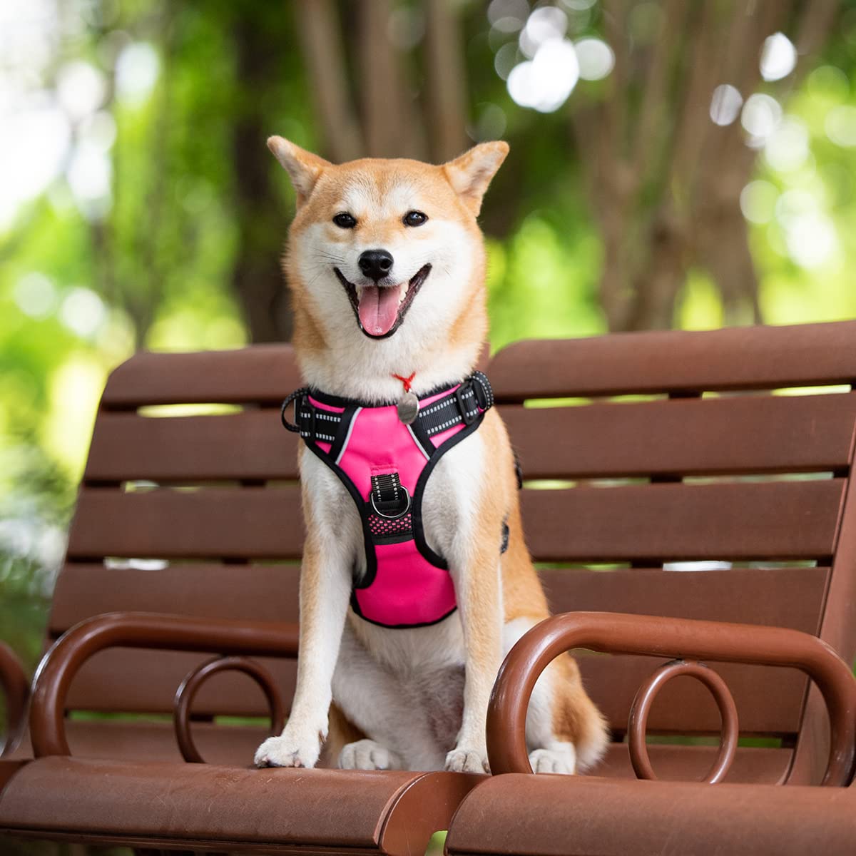 Poypet 2019 Upgraded No Pull Dog Harness With 4 Snap Buckles, Reflective With Front & Back 2 Leash Hooks And An Easy Control Handle [No Need Go Over Dog’S Head] (Pink,S)