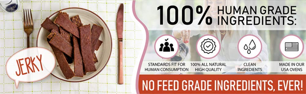 Pet Jerky Factory Premium Dog Treats | 100% Human Grade | USA Made | Grain Free | Turkey and Pumpkin, 12 oz.