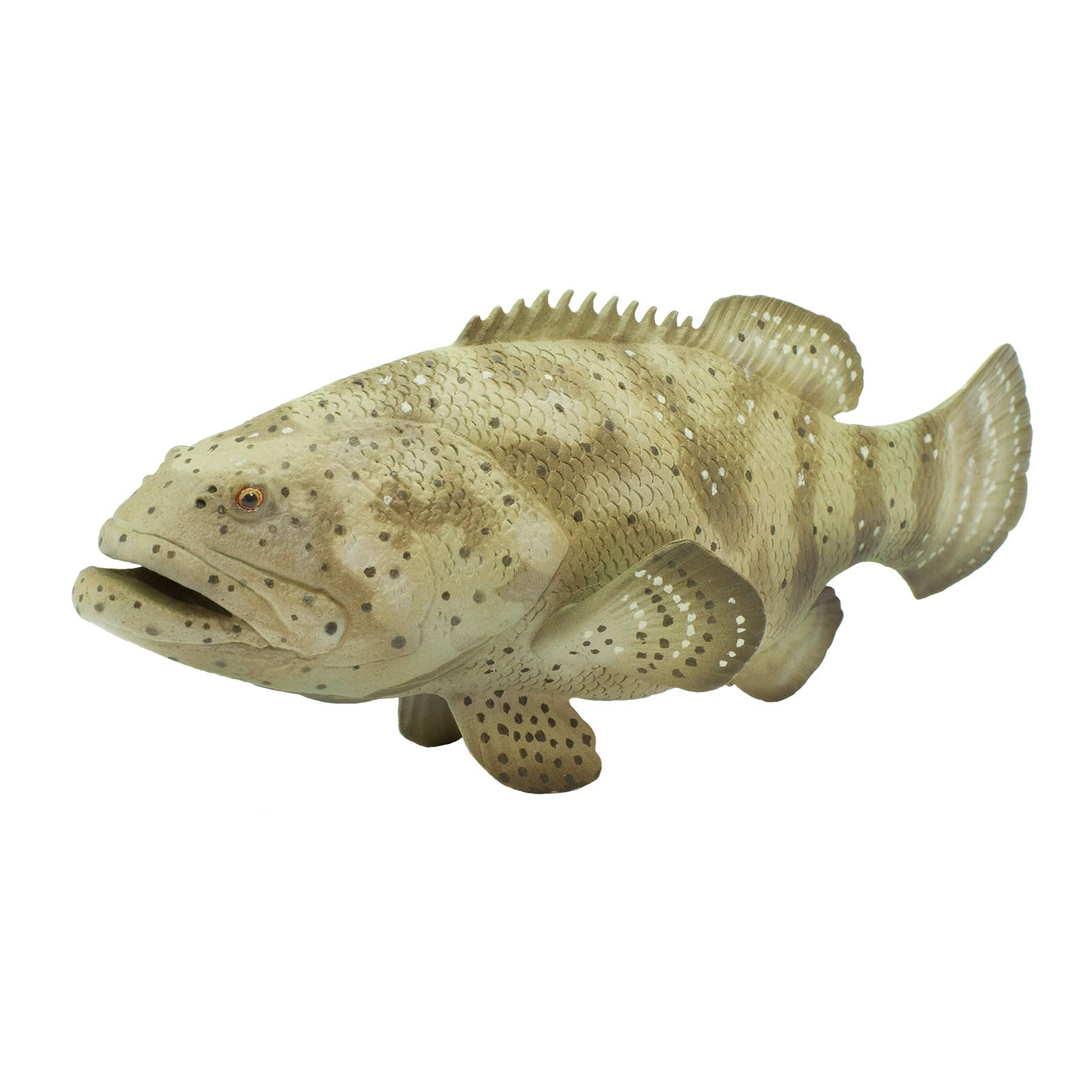 Safari Ltd. Goliath Grouper Figurine - 5.75" Detailed Plastic Model - Multicolor Educational Toy for Kids Ages 3+