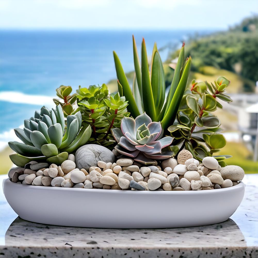 HappyFiller Natural Decorative White Pebbles Polished Rocks Stones for Aquarium Gravel,Fish Turtle Tank,Outdoor Indoor Succulent