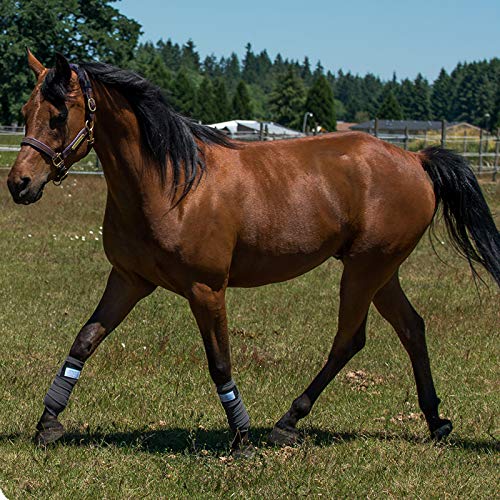 Benefab Therapeutic Polo Wraps | Set Of 4 | Far-Infrared Technology Keeps Muscles Supple, Prevents Injuries, Promotes Blood Flow