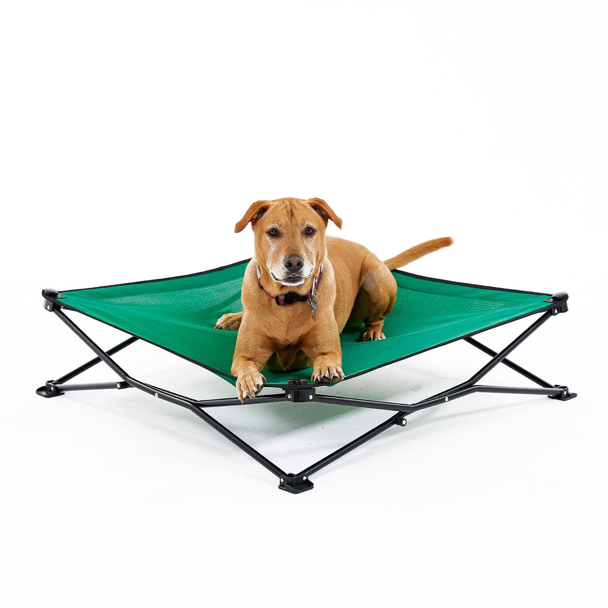 Coolaroo On The Go Cooling Elevated Dog Bed, Portable For Travel & Camping, Collapsible For Storage, Large, Emerald Green