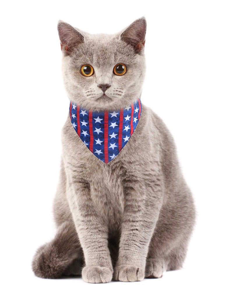 Independence Day Cat Collars American Breakaway With Bandana Bell Pet Kitten Adjustable For Small Dog Puppies Girl Boy
