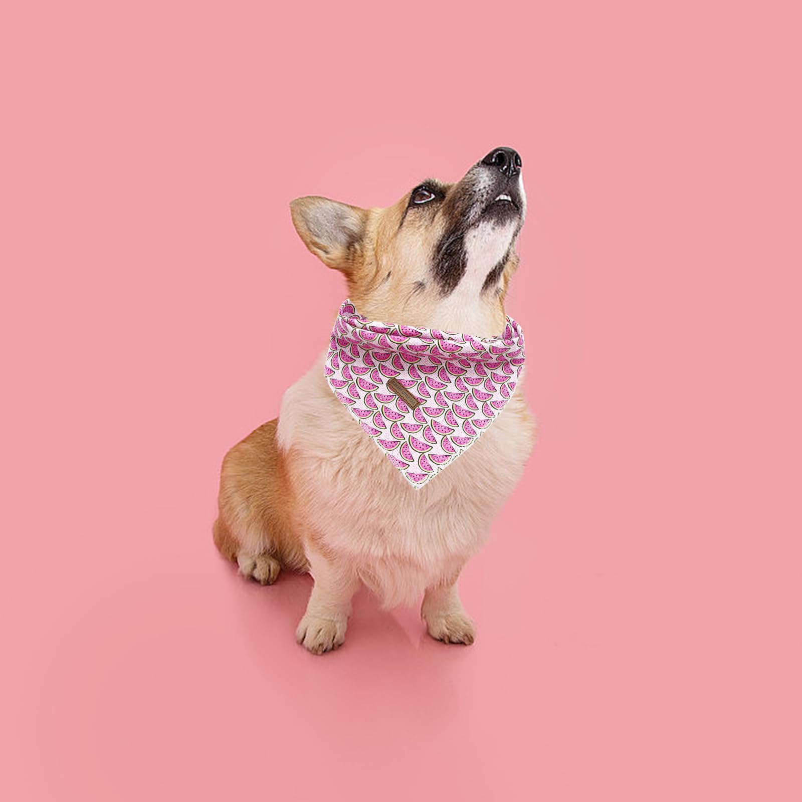 Elegant Little Tail Dog Bandana 1Pc Washable Cotton Summer Dog Kerchief Reversible Cotton Bibs Scarf Triangle Dog Scarfs For Sma
