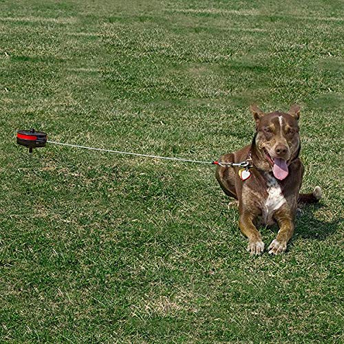 Lixit Bracket Mount and Stake Retractable Leash Tie Outs for Dogs (Stake, Large)
