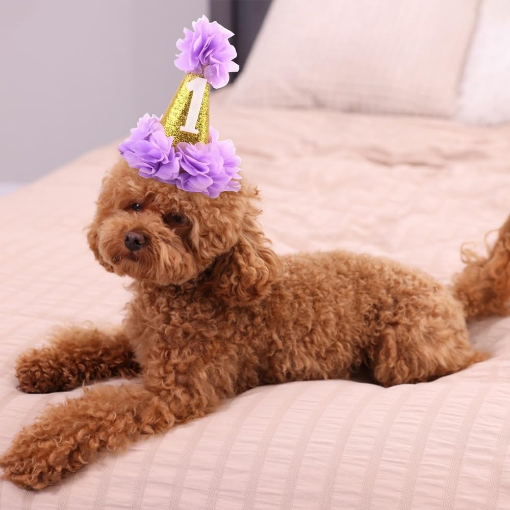 Stock Show 1St Pet Birthday Cone Hat Dogs Cats Holiday Party Hat Headwear Costume With Flowers Accessories And Adjustable Headband For Small Medium Dogs Cats Pets Baby, Purple
