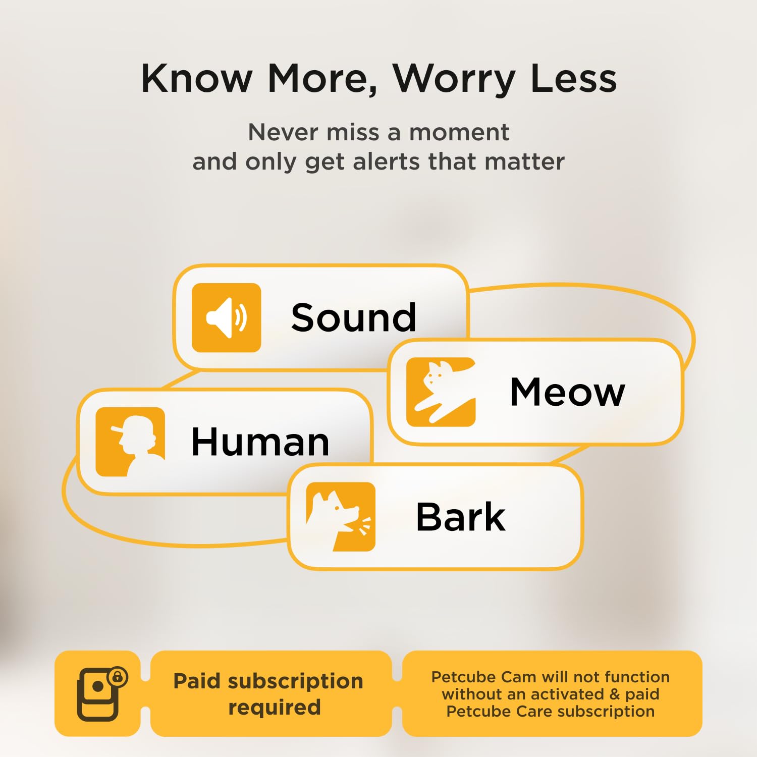 Petcube Cam And Care Coverage Subscription | Indoor Wi-Fi Pet And Security Camera With Phone App, Cats And Dogs Monitor With 2-W