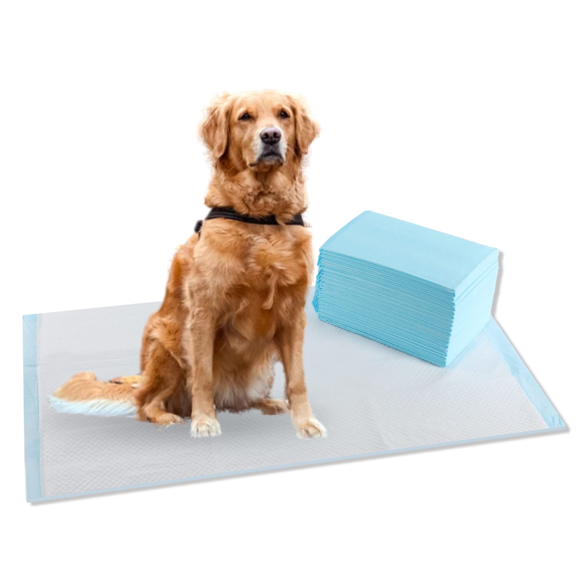 CALPALMY (50-Pack) Pet Training Pee Pads Extra Large 24''x36'', Ultra Absorbent Pee Pads for Dog and Puppy, Leak-Proof Moisture 