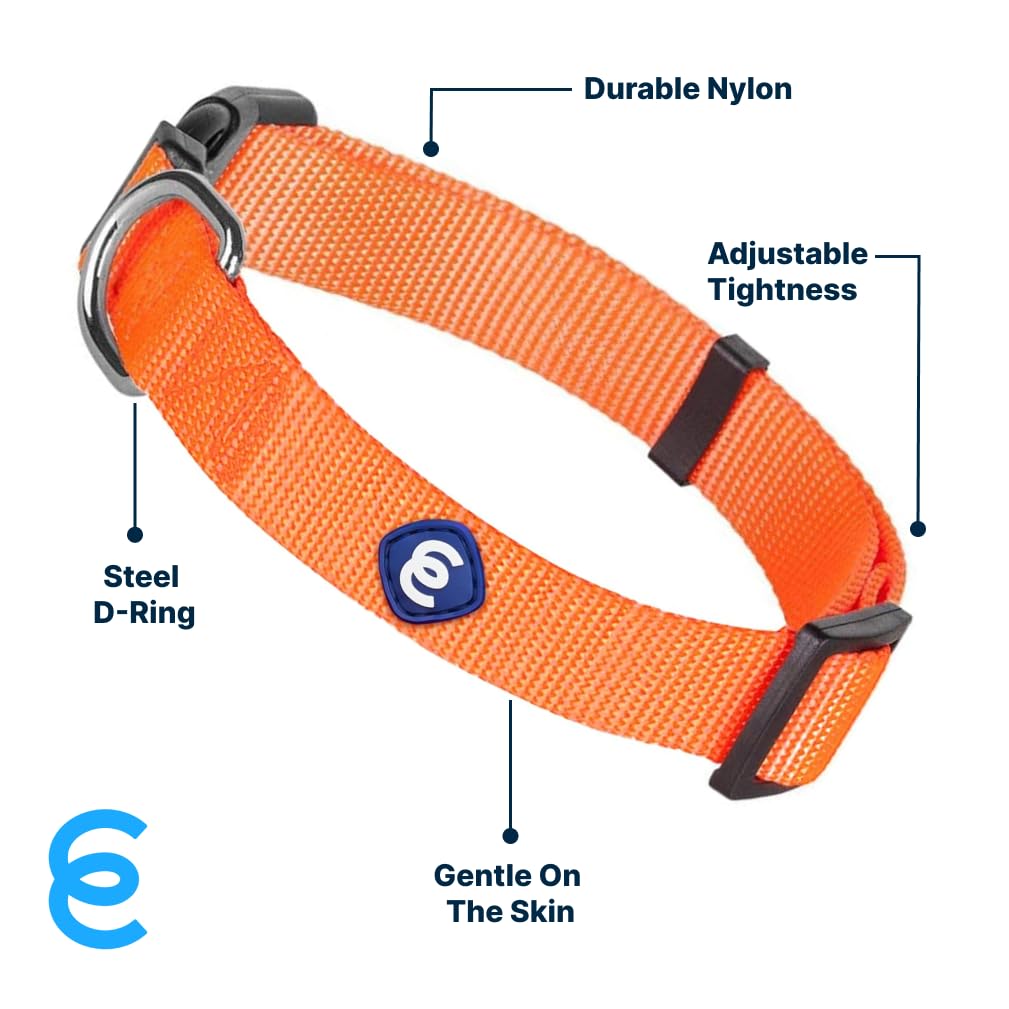 Blueberry Pet Essentials Small Dog Collar | Girl Dog Collars Fall | Female Dog Collar Small | Florence Orange Dog Collars For Sm