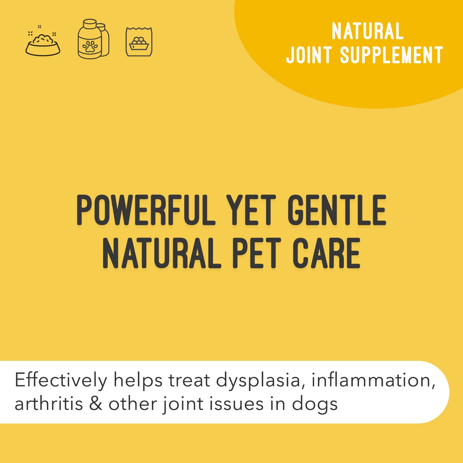 ArthriMaxx Dog Joint Supplement with MSM, Chondroitin & Glucosamine, 32 fl oz - Liquid Formula for Joint Inflammation & Arthritis Care