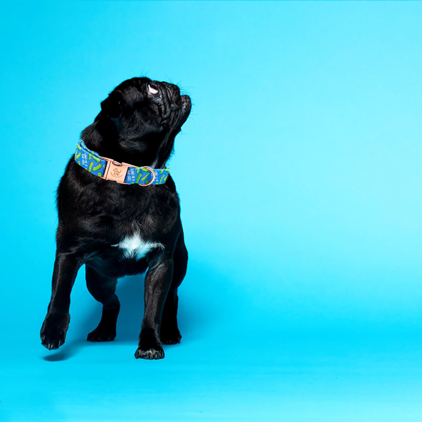 Elegant Little Tail Dog Collar, Blue Bear Pattern Pet Collar Durable Cute Dog Collars Male Or Female Pet Gift Adjustable Dog Col