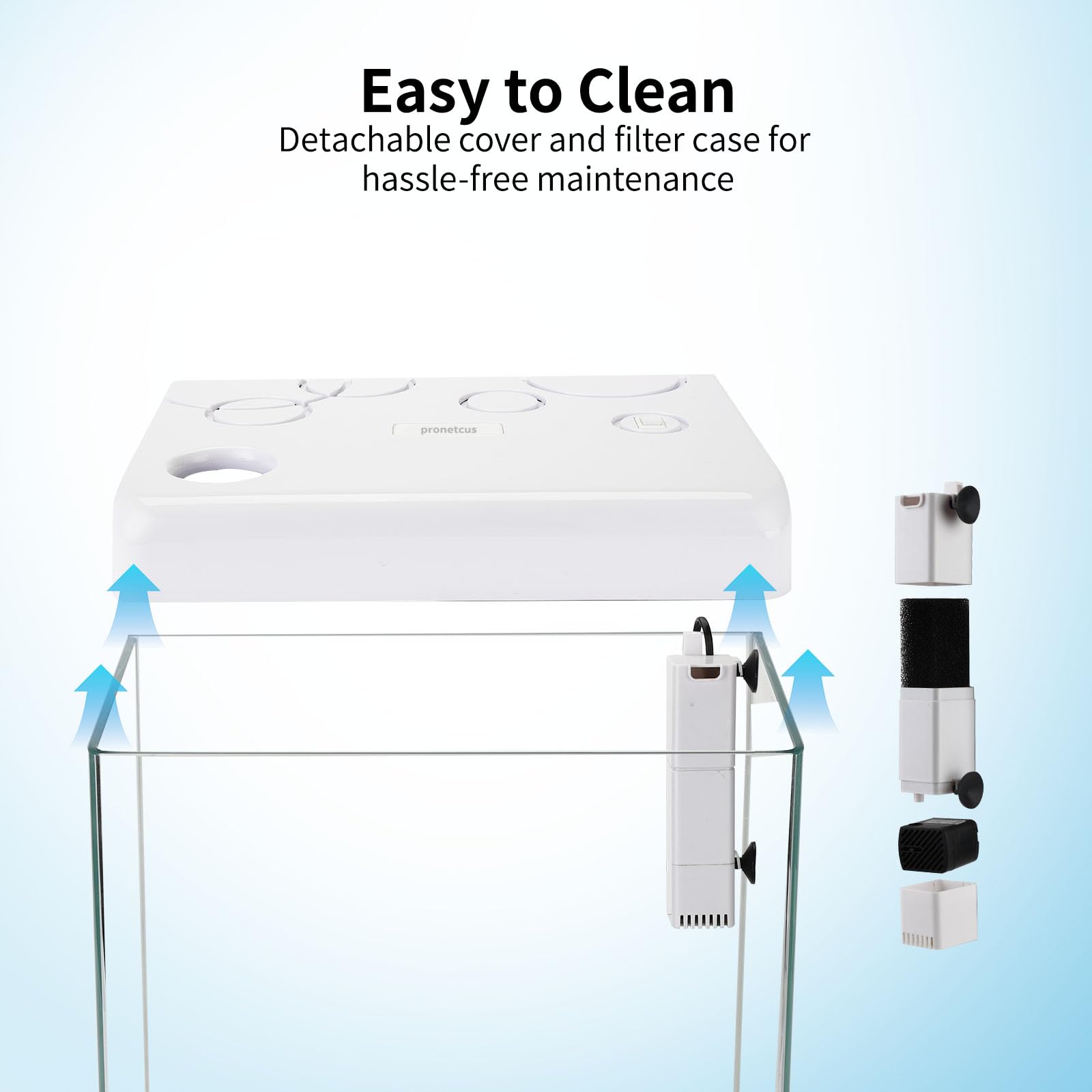 5 Gallon Glass Small Fish Tank,Betta Fish Tank With Filter And Light,White Aquarium Starter Kit.