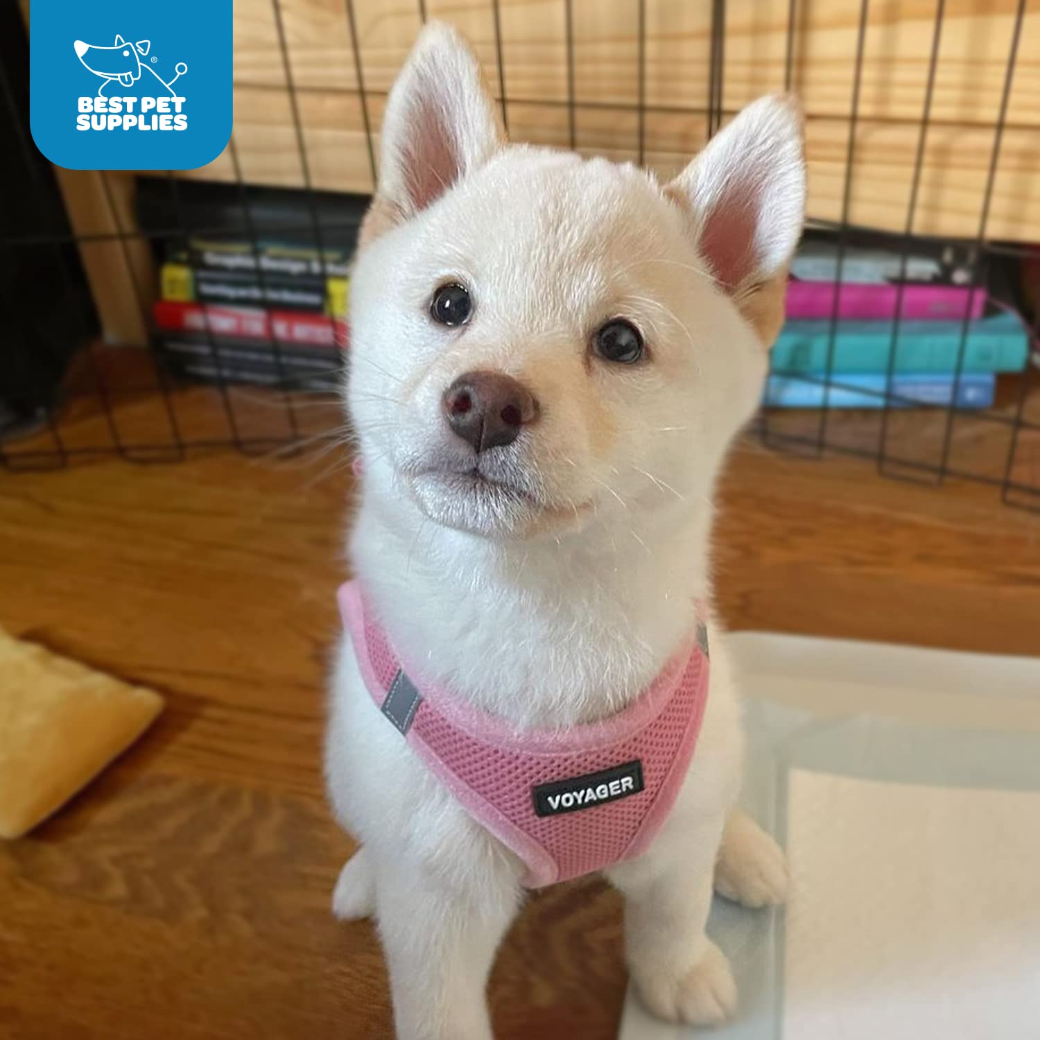 Voyager Step-In Air Dog Harness - All Weather Mesh Step In Vest Harness For Small And Medium Dogs And Cats By Best Pet Supplies - Harness (Pink), M (Chest: 16-18')