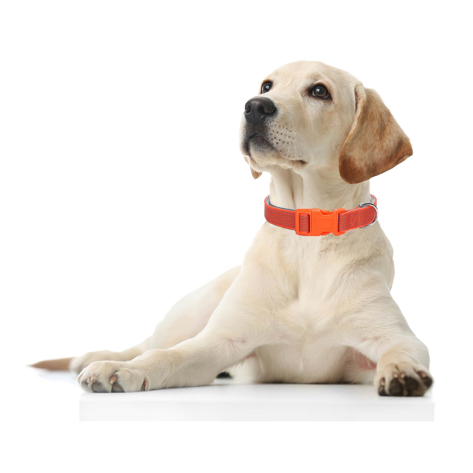 Reflective Dog Collar Padded-4 Size, Breathable Nylon Soft Neoprene Pet Collar For Small Medium And Large Dogs (Orange, M)
