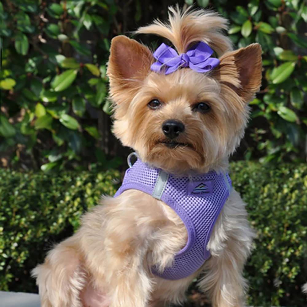 DOGGIE DESIGN Choke Free Reflective Step In Ultra Harness - Purple - American River (XXS)