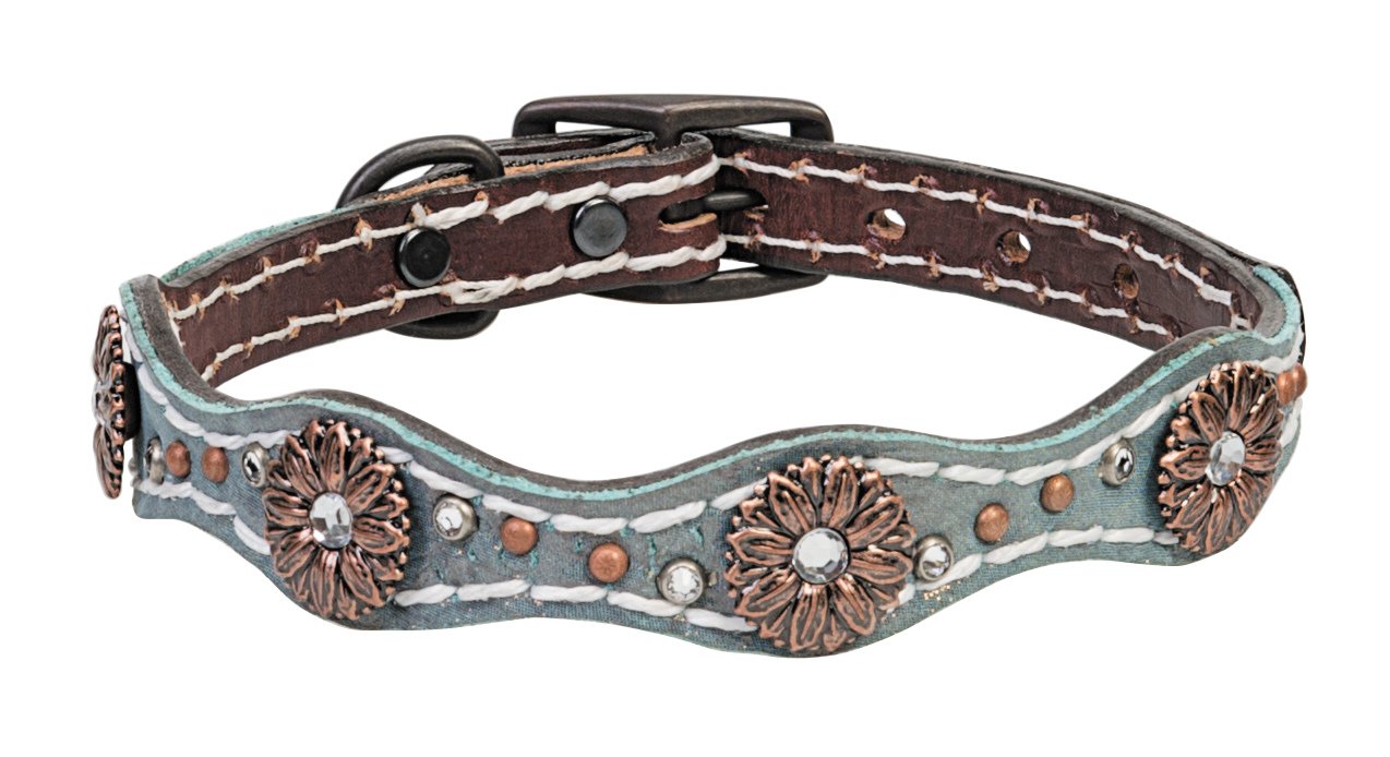 Weaver Leather Pet Savannah Dog Collar, Brown/Metallic Turquoise, 5/8 X 13-Inch
