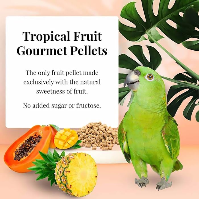 LAFEBERS Tropical Fruit Gourmet Pellets Pet Bird Food, No Added Sugar, Made with Non-GMO and Human-Grade Ingredients, for Parro
