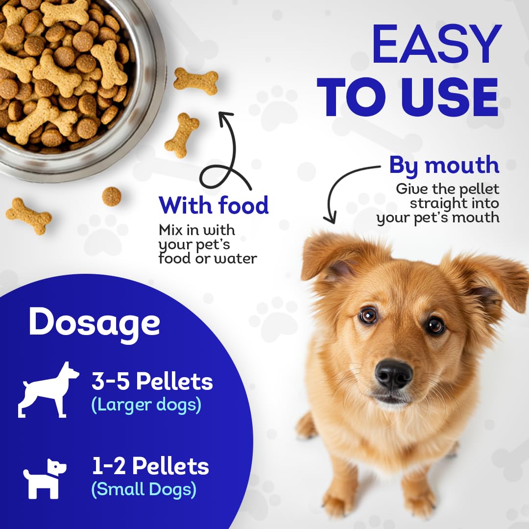 HealthyAnimals4Ever Mange Relief for Dogs - Treatment for Itchiness, Scabs, & Hair Loss Caused by Mites - All-Natural, Homeopath