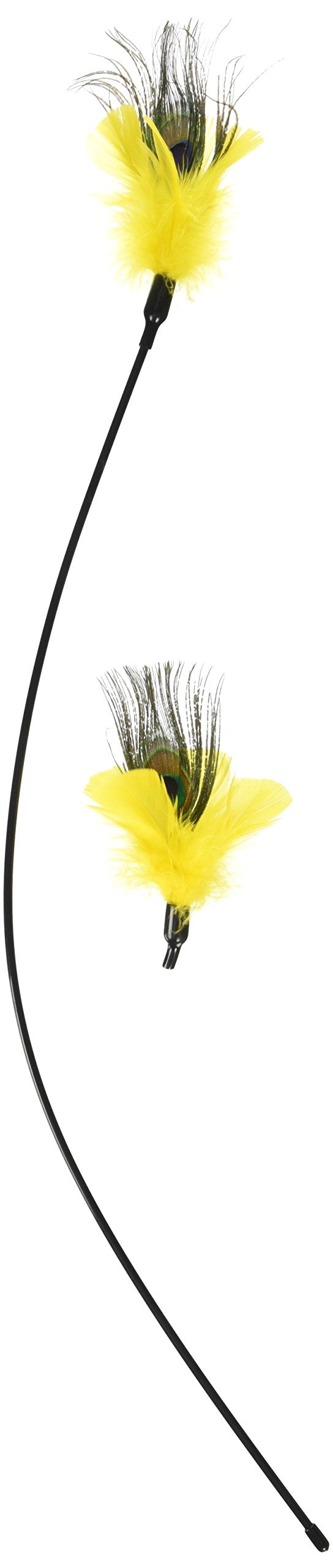 Purrfect Peacock Feather