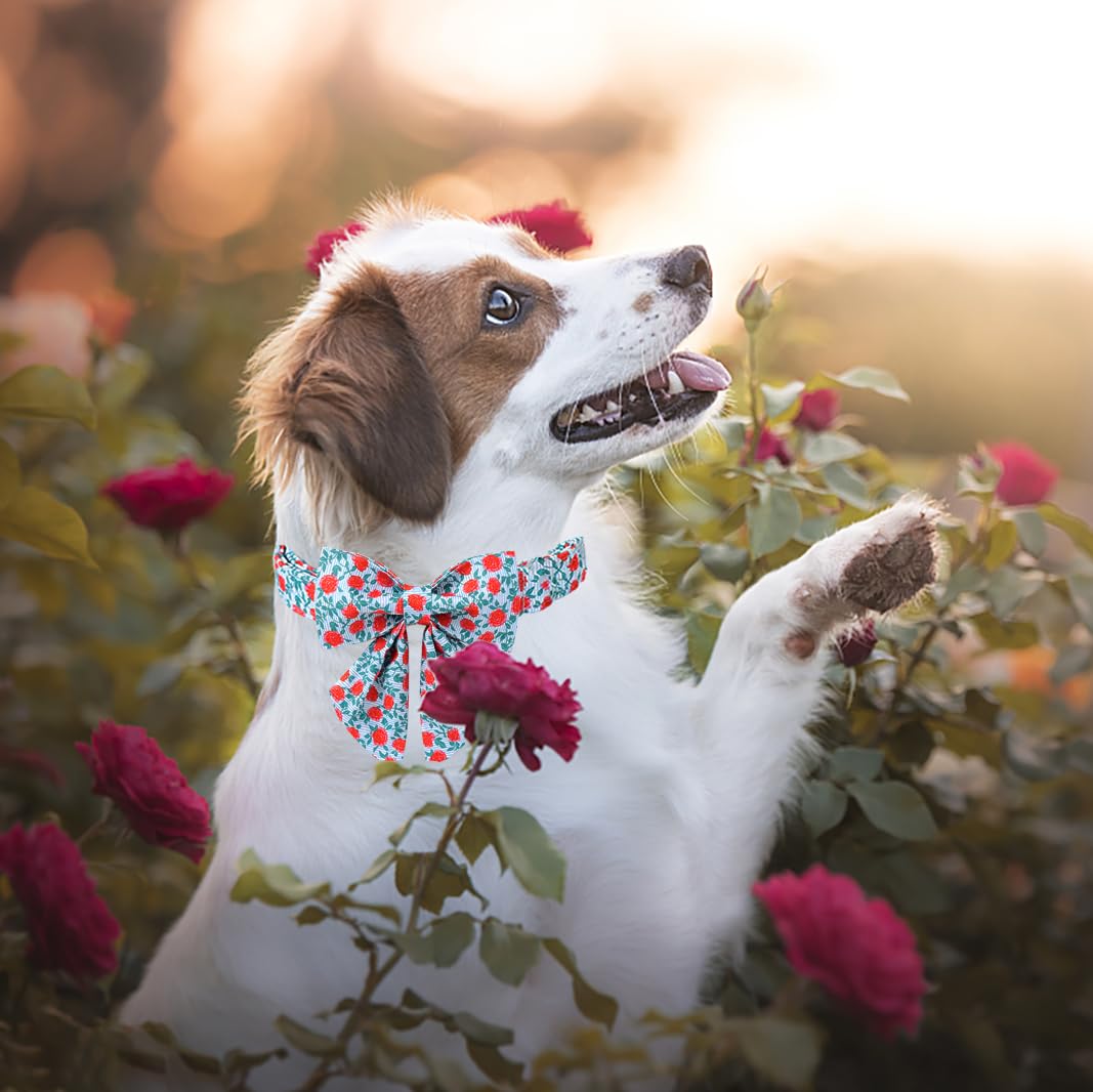 Lionet Paws Design Dogs Collar Cute Flower Sailor Bow Dog Collars For Girl Female Medium Large Dogs With Rose L