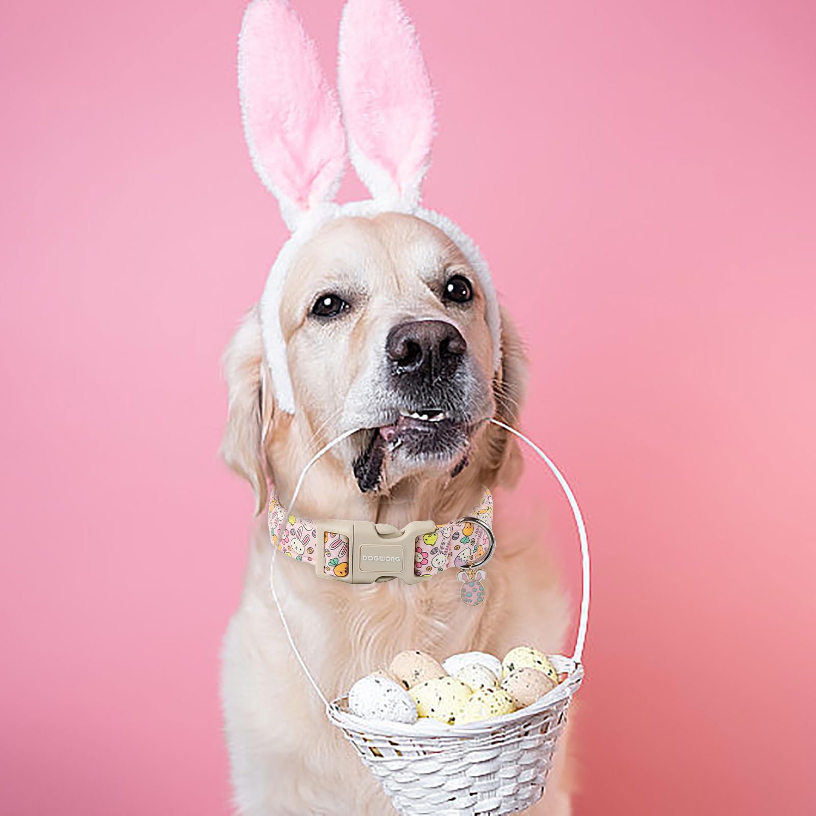 Dogwong Easter Dog Collar, Cute Egg Bunny Dog Collars, Adjustable Easter Pet Collars Design Dog Collar With Quick Release Buckle